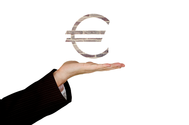 znak eura